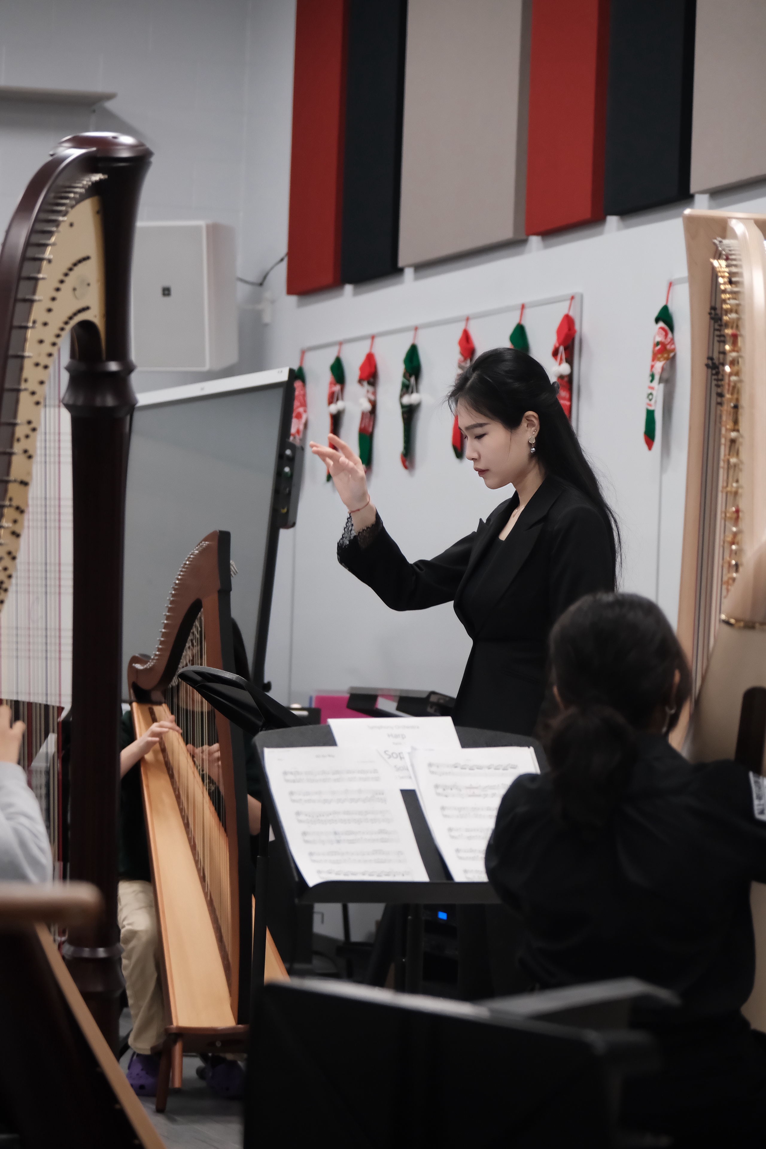 Dr. Yirui Li Masterclasses